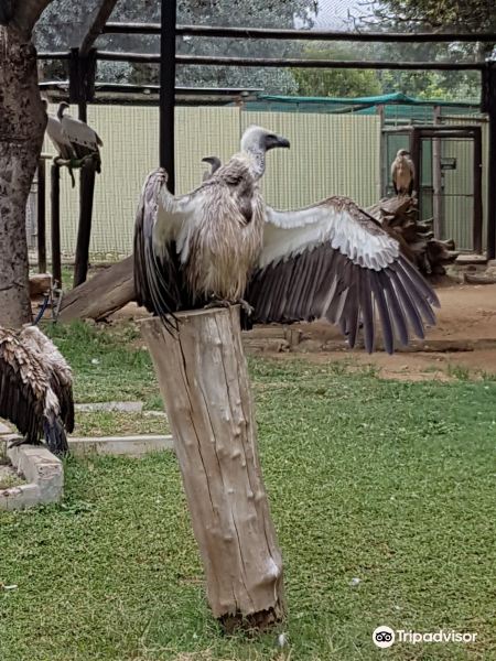 Voli Bloemfontein Hoedspruit