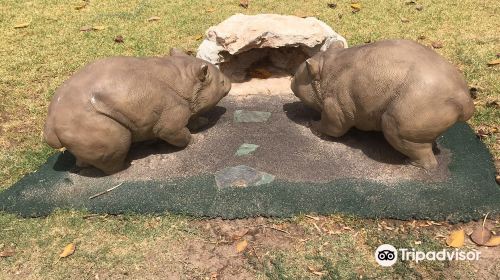 Wombat Statues - Moonta