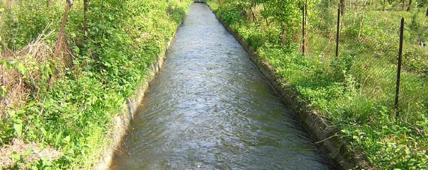 Bosco Wwf di Vanzago