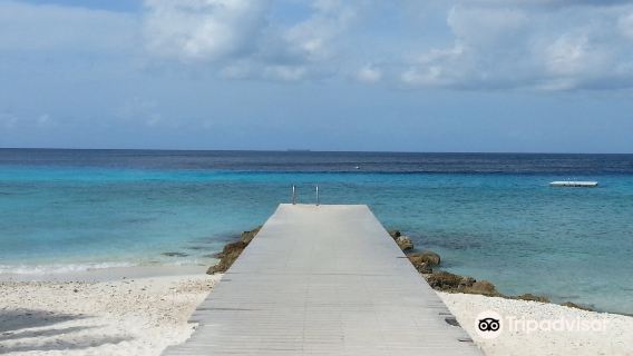 The Dive Bus, Curacao & Scubapro, Curacao