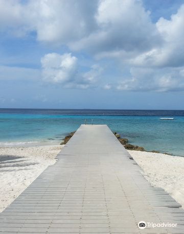 The Dive Bus, Curacao & Scubapro, Curacao