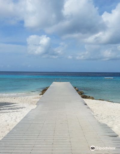 The Dive Bus, Curacao & Scubapro, Curacao