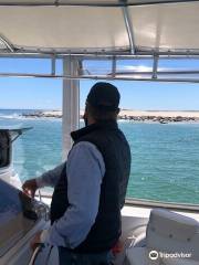 Monomoy Island Excursions