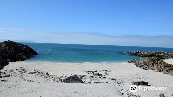 Andenes