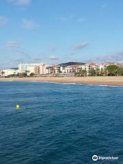 Dofi Jet Boats Costa Brava