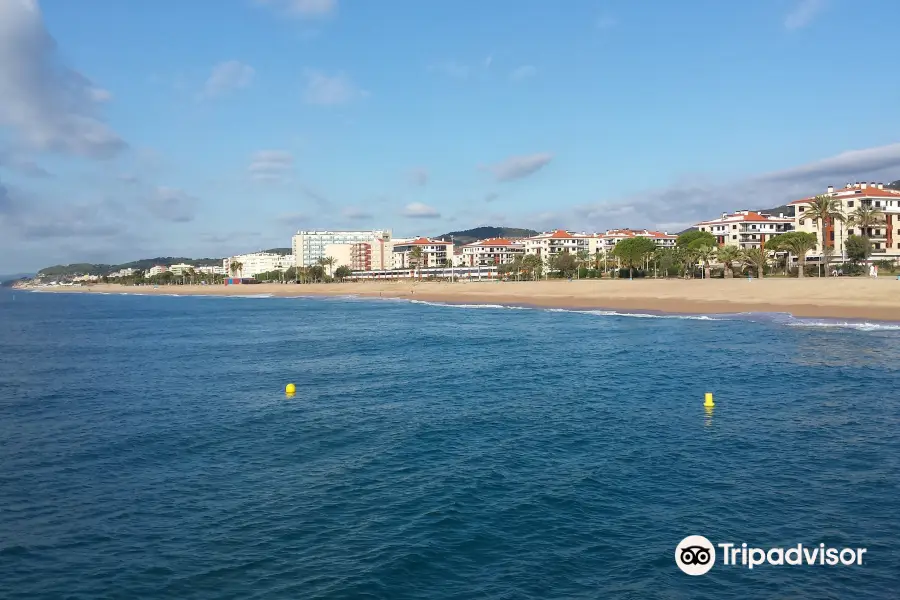 Dofi Jet Boats Costa Brava