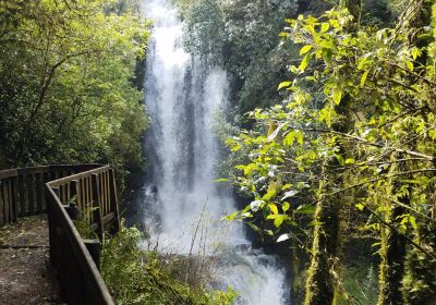 Waitanguru Falls