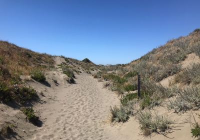 Ma-le'l Dunes Cooperative Management Area