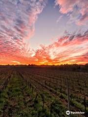 Tenuta Baraka Winery