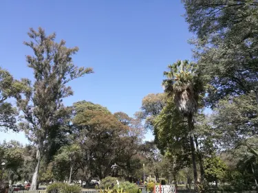 Reloj de las Flores