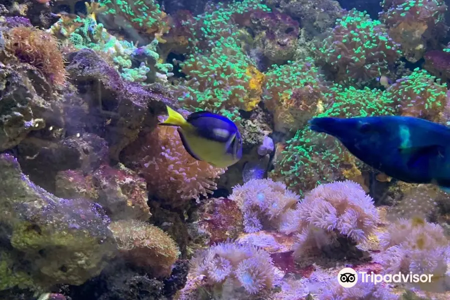 Sao Paulo Aquarium