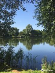 Needham Lake