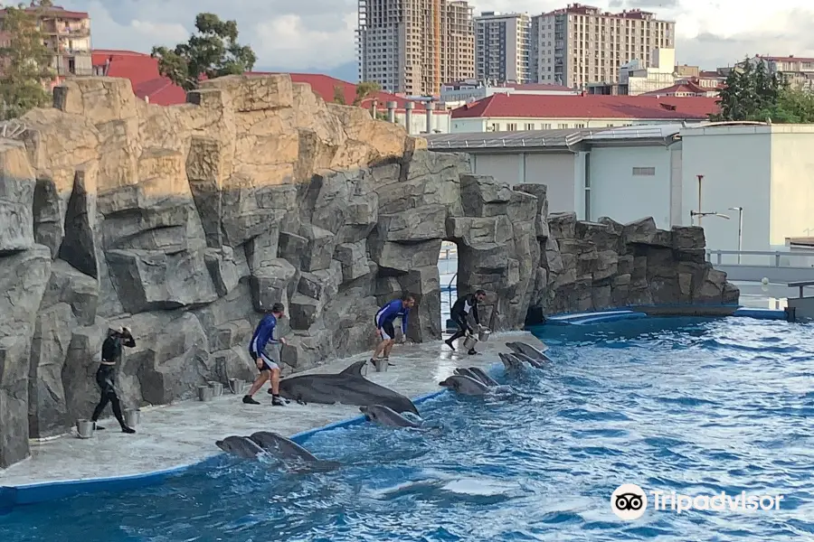 Batumi Dolphinarium