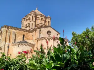 Colegiata de Santa María la Mayor