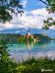 To Do In Slovenia