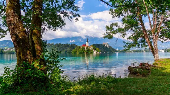 To Do In Slovenia