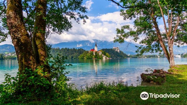 To Do In Slovenia day trips & local products