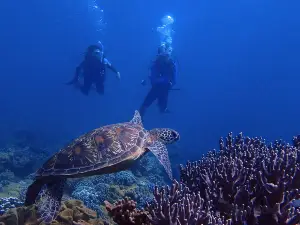 Guam Ocean Adventures