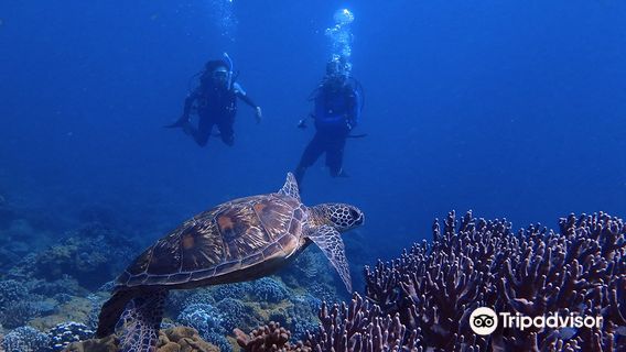 Scuba Diving in Guam
