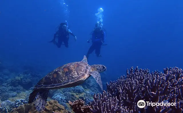 Scuba Diving in Guam