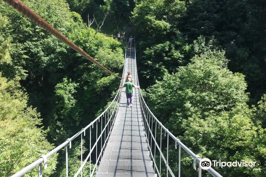 Tibetan Bridge Roccamandolfi