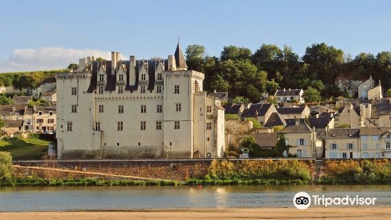 Château de Montsoreau-Museum of Contemporary Art