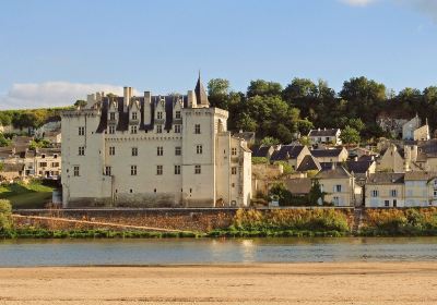 Château de Montsoreau - Musée d'Art Contemporain