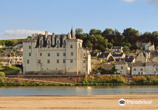 Château de Montsoreau-Museum of Contemporary Art