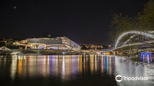 Museum des Confluences