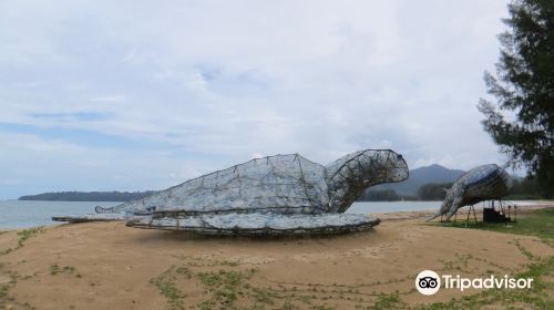 Royal Thai Navy Third Fleet Sea Turtle Nursery - Phang Nga