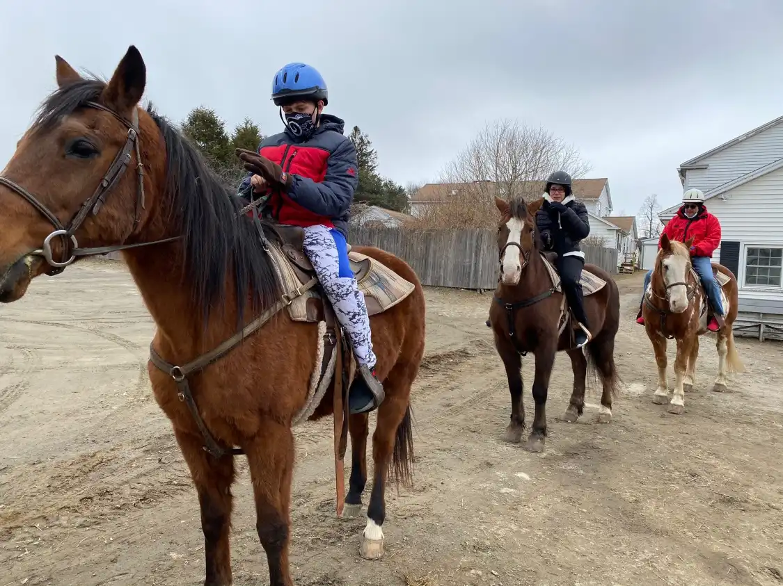 Hotels near Lee's Riding Stable Inc