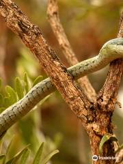 Hoedspruit Reptile Centre