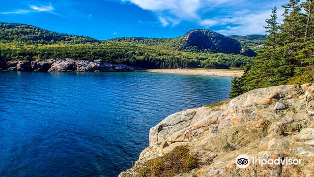 Great Head Trail (Acadia National Park)