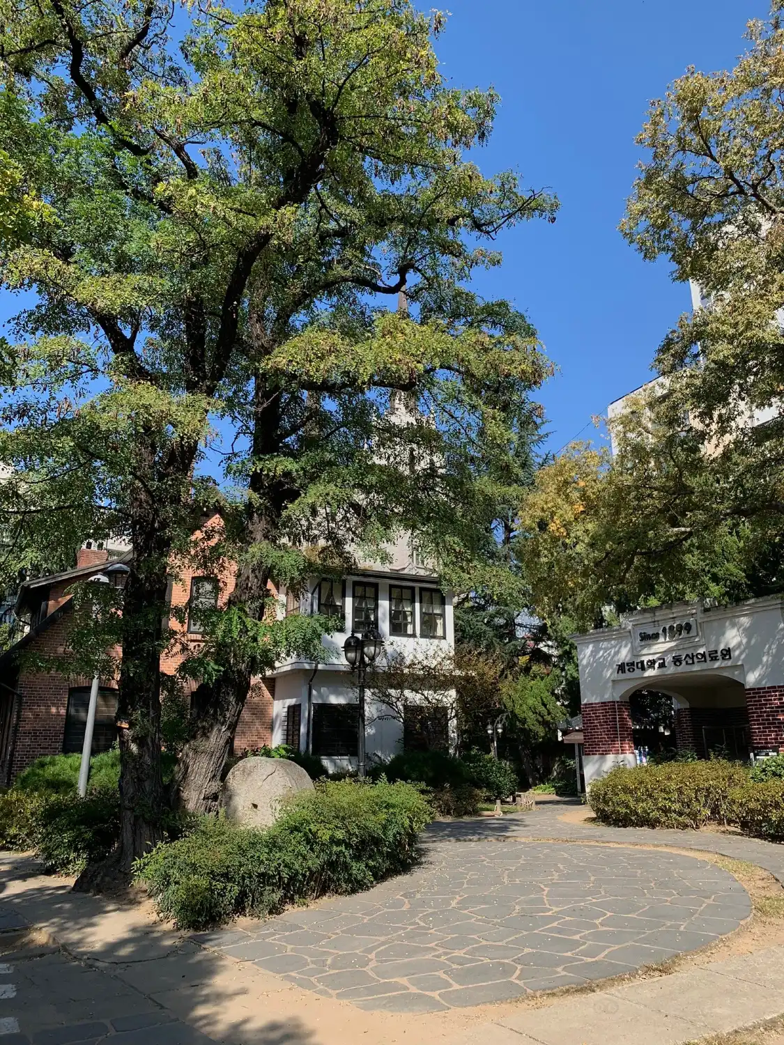 청라언덕 주변 호텔