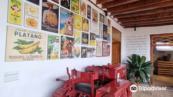 Casa del Platano