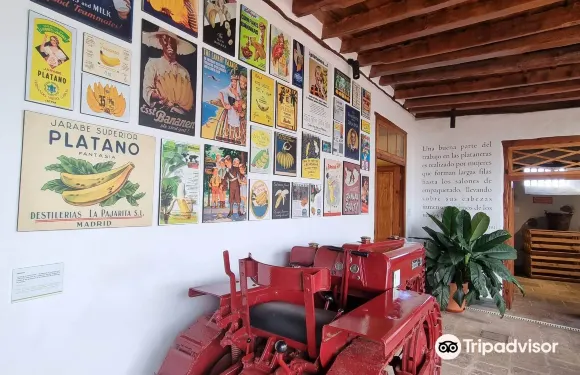 伊科德·德·洛斯·維諾斯