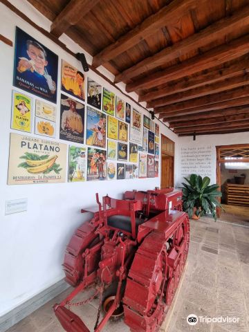 Icod de los Vinos