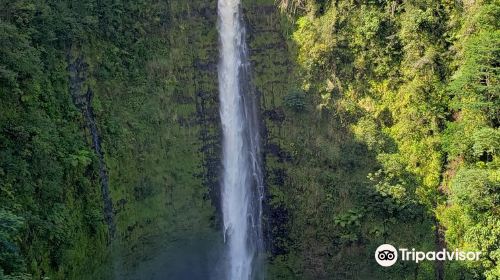 Akaka Falls State Park