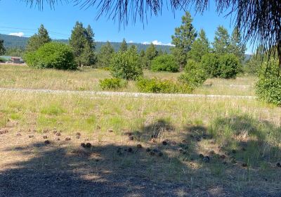 South Cle Elum Rail Yard National Historic District