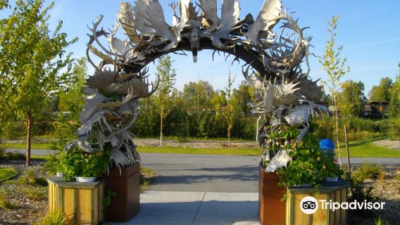 Moose Antler Arch