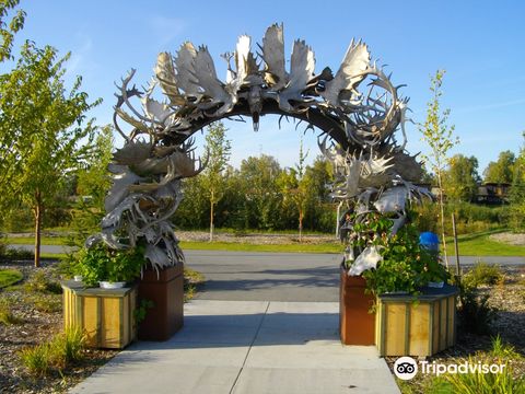 Moose Antler Arch