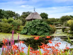 Tanglewood Wild Garden