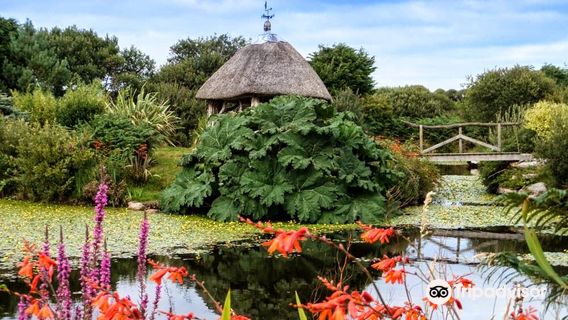 Tanglewood Wild Garden
