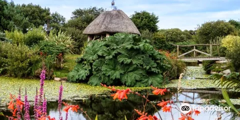 Tanglewood Wild Garden