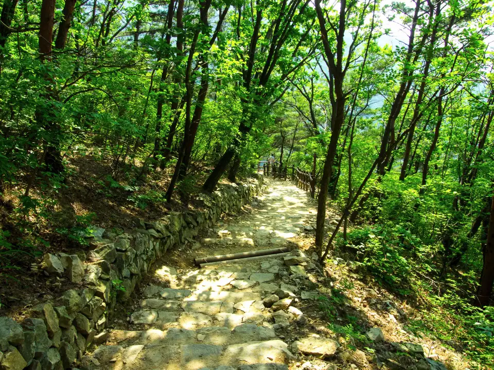 3_Apsan Park
