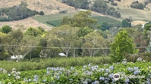 Borrodell Vineyard, Cellar Door & Wedding Venue