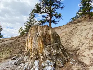 Florissant Fossil Beds National Monument