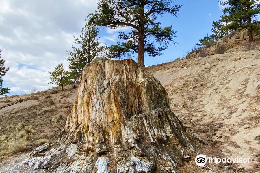 Florissant Fossil Beds National Monument