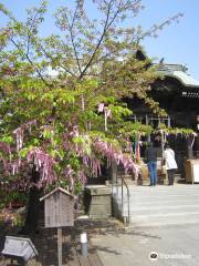 Sakura Jingu Shrine