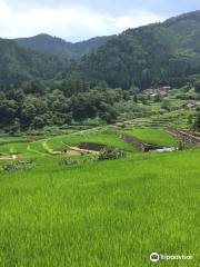 Ini Rice Terraces